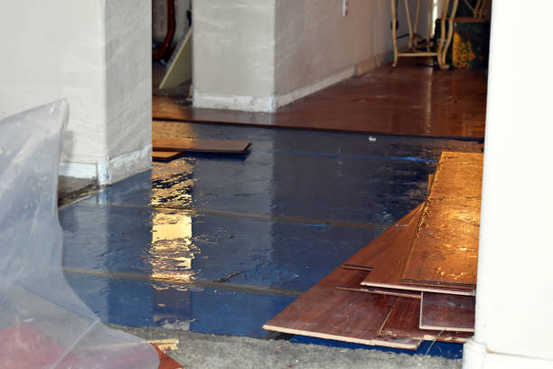 Professional Water Extraction technician working in Sealy, TX